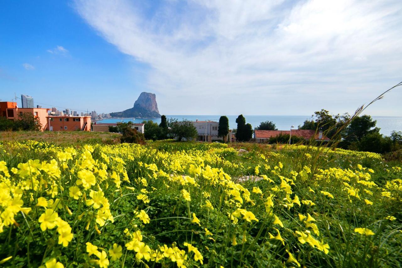 Homeincalpe Borumbot Buitenkant foto